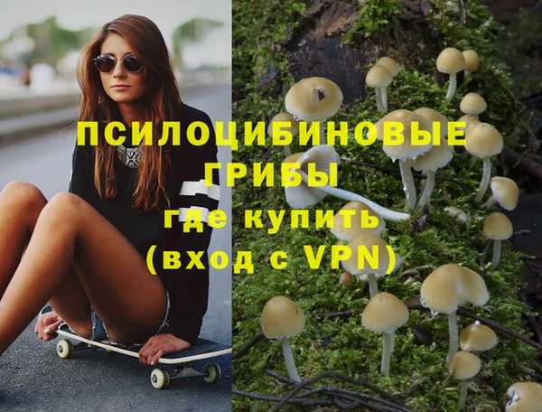 apvp Абинск