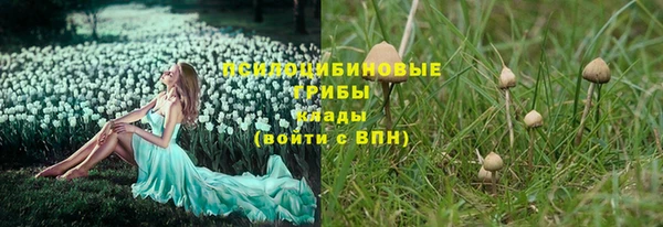 apvp Абинск