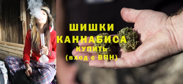 шишки Алексин